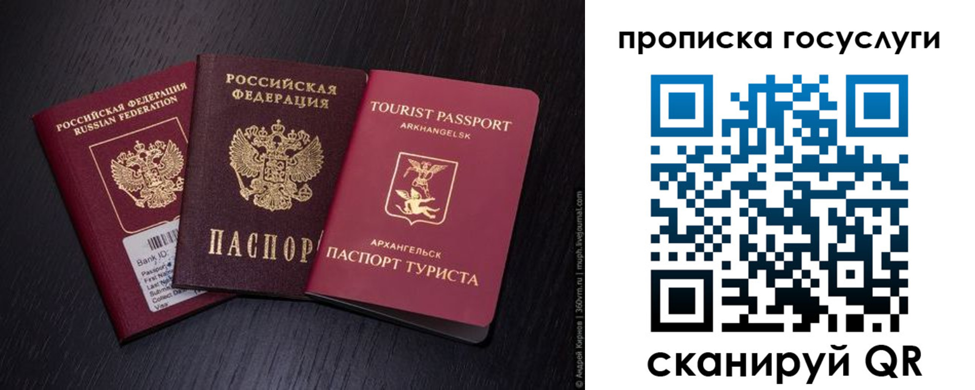прописка 2025 в Павловске